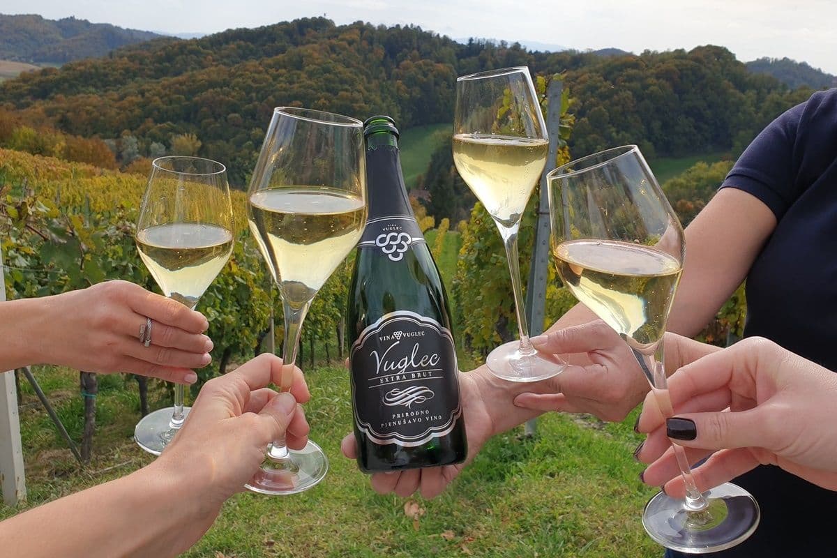 Konavle Gastro and Wine Tour – image 5