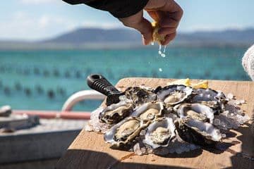 Ston Wine & Oysters Tour – image 5