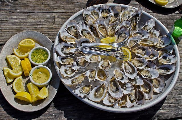 Ston Wine & Oysters Tour – image 7
