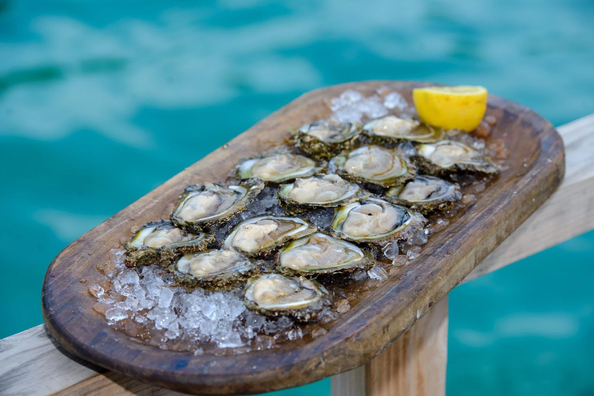 Ston Wine & Oysters Tour – image 8
