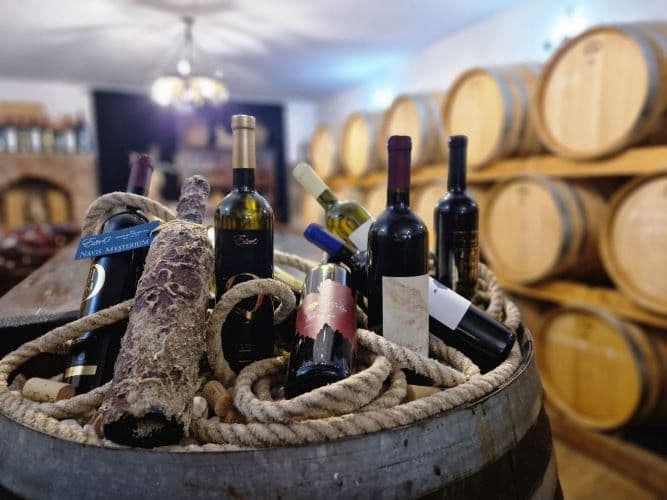 Ston Wine & Oysters Tour – image 9