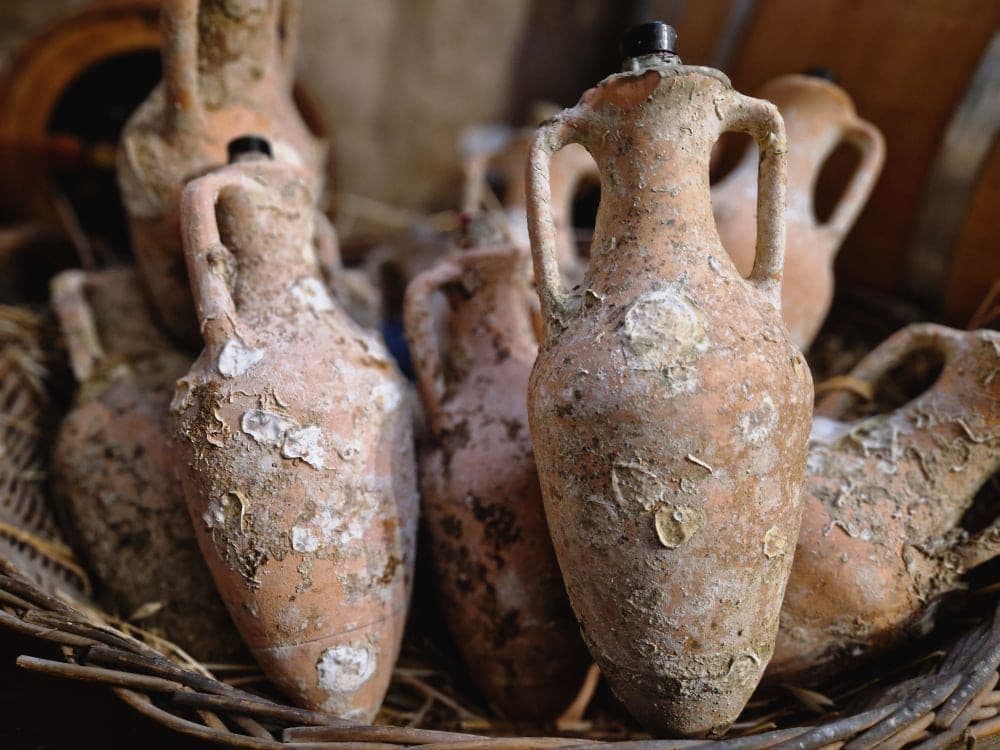 Ston Wine & Oysters Tour – image 10